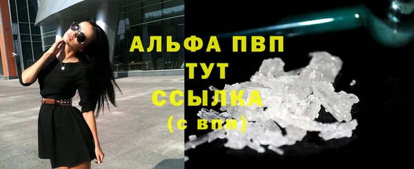 сатива Куйбышев