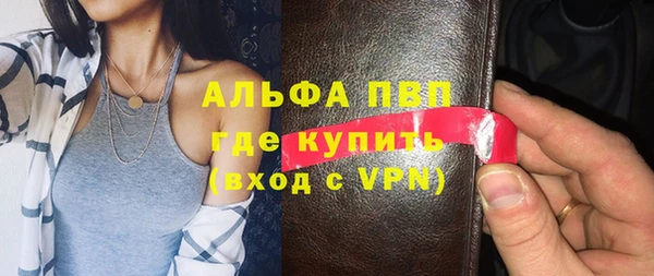 сатива Куйбышев