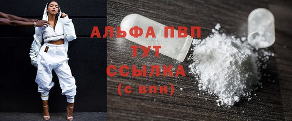сатива Куйбышев