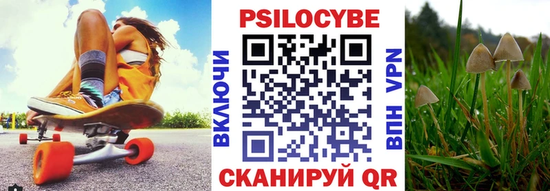 Псилоцибиновые грибы Psilocybine cubensis  купить закладку  Новое Девяткино 